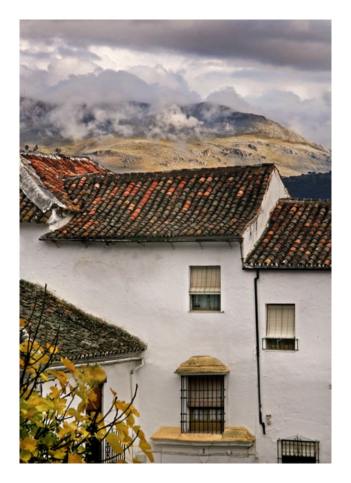 Dächer, die mit den Wolken leben
