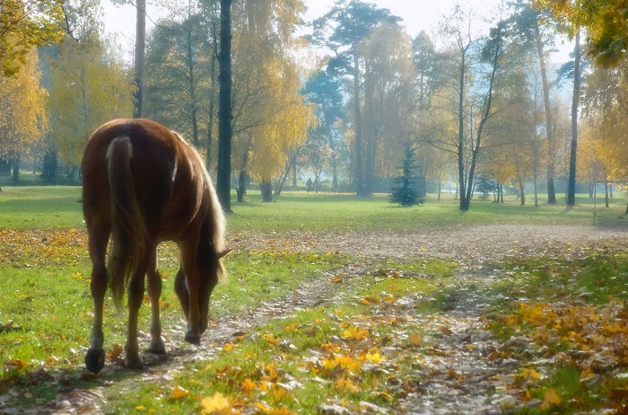 Dort, im Oktober ...