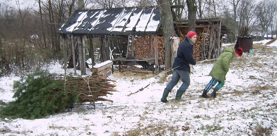 im Wald razdovalsya Axe