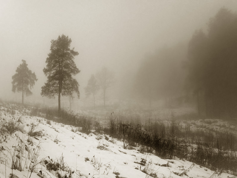 Winter Nebel