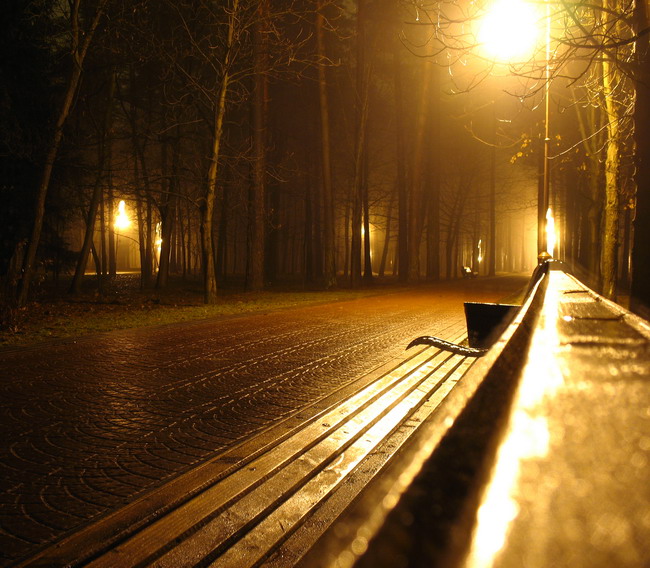 Night. Ul. Laterne. Bench.