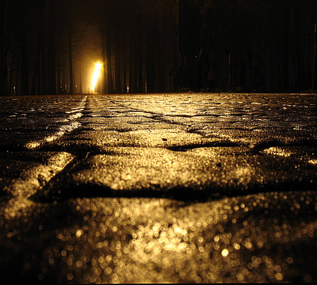 Auf dem Bürgersteig.