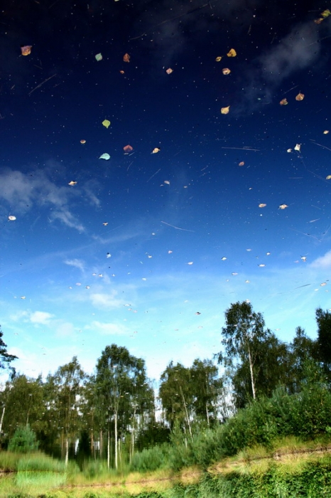 erste Schritte im Herbst