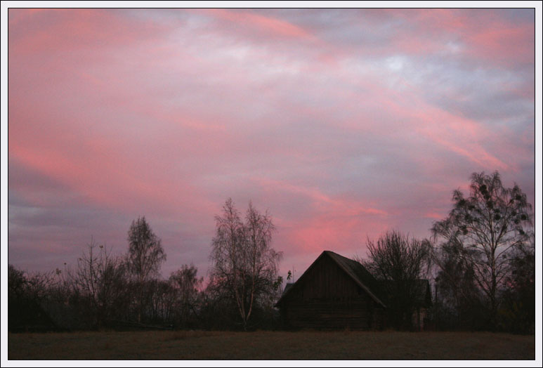 tsіshynya svіtanku