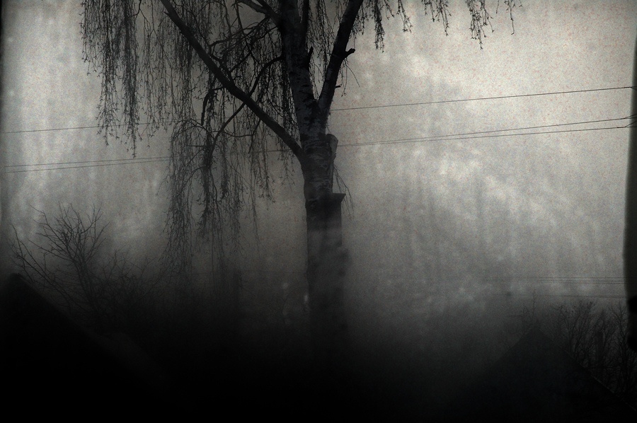 Fordert und winkt ...