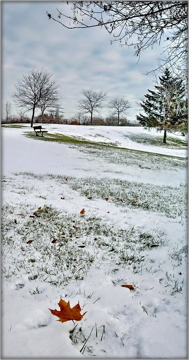 Wintermorgen ruhigen Innenhof der weiß und kalt gemacht ..