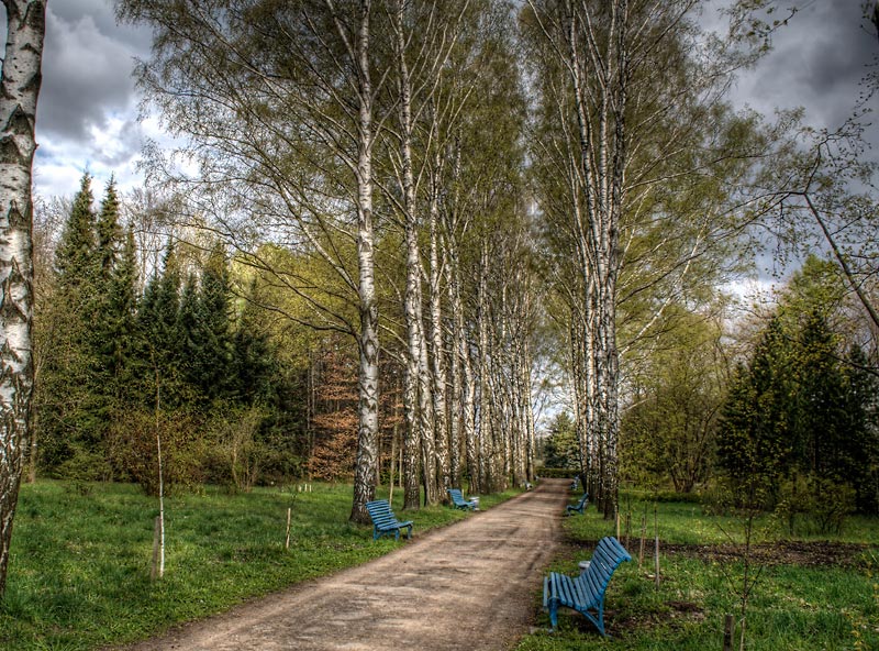 Im botanischen Garten