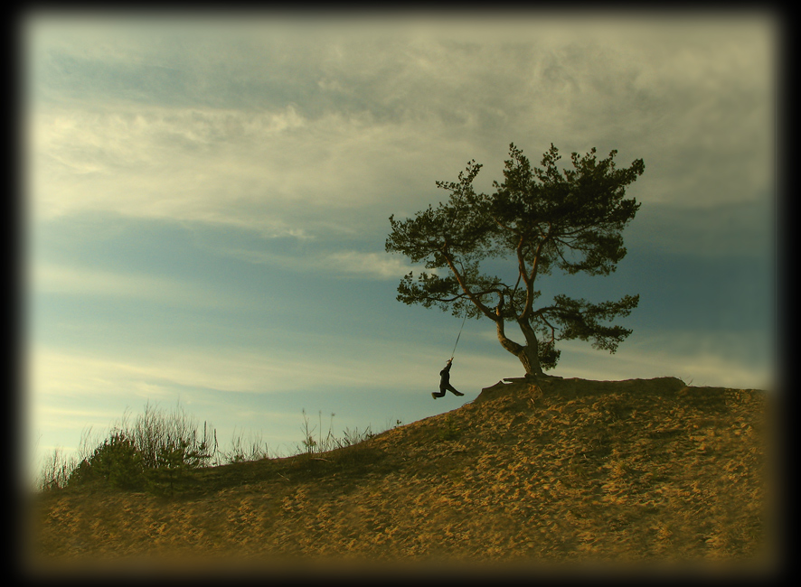 Frühling im Tal der einsamen Kiefer