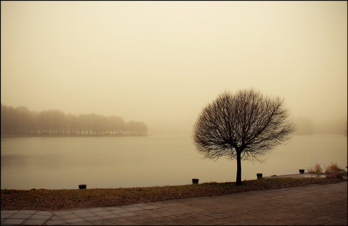 Besonderheiten der nationalen Winter