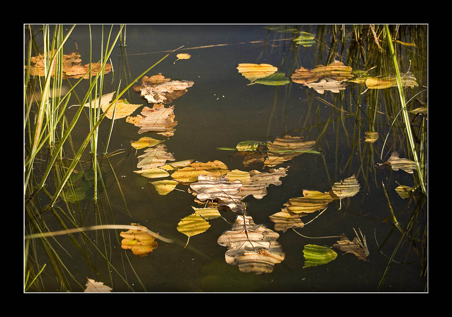 Momente der Vergangenheit