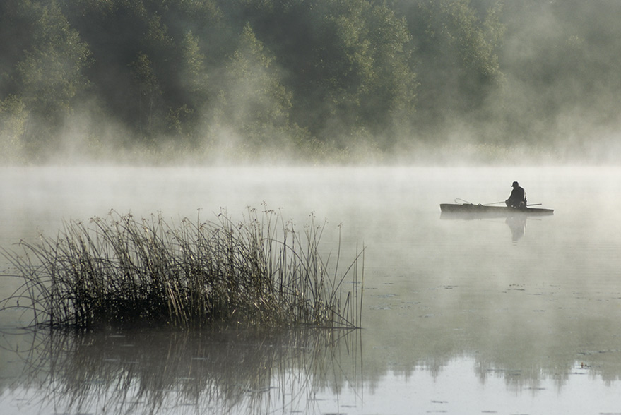 Fang von Fischen und großen ... groß