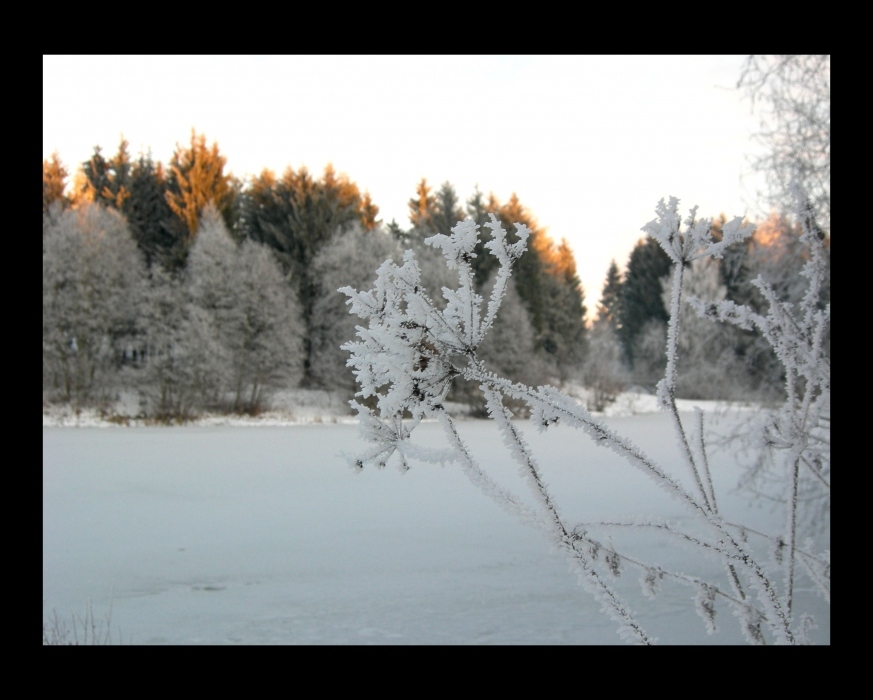 Im Winter finden ...