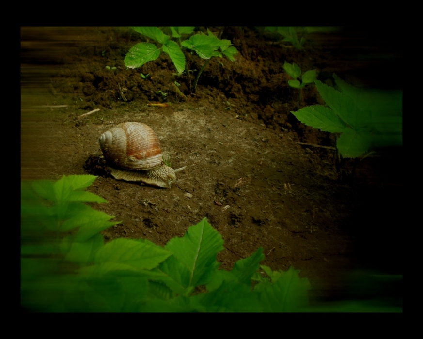 Auf dem Weg zur Dunkelheit ...
