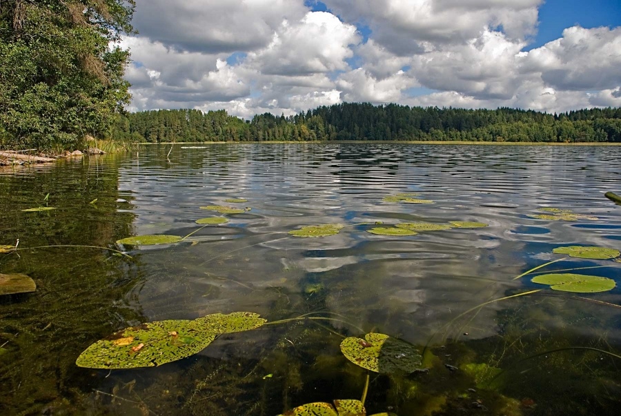 Die Nostalgie nach der Sonne