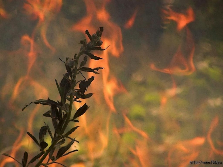 Die letzten Moment die Nummer 1