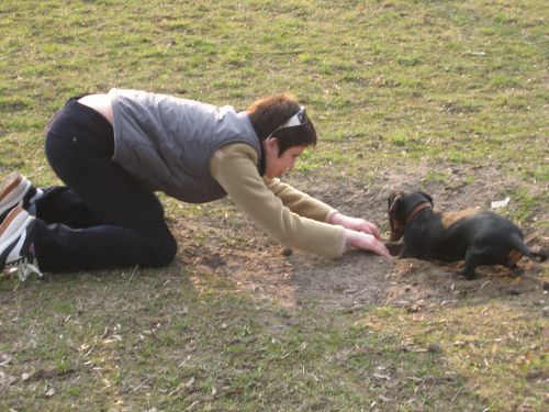 auf der Suche nach Schätzen