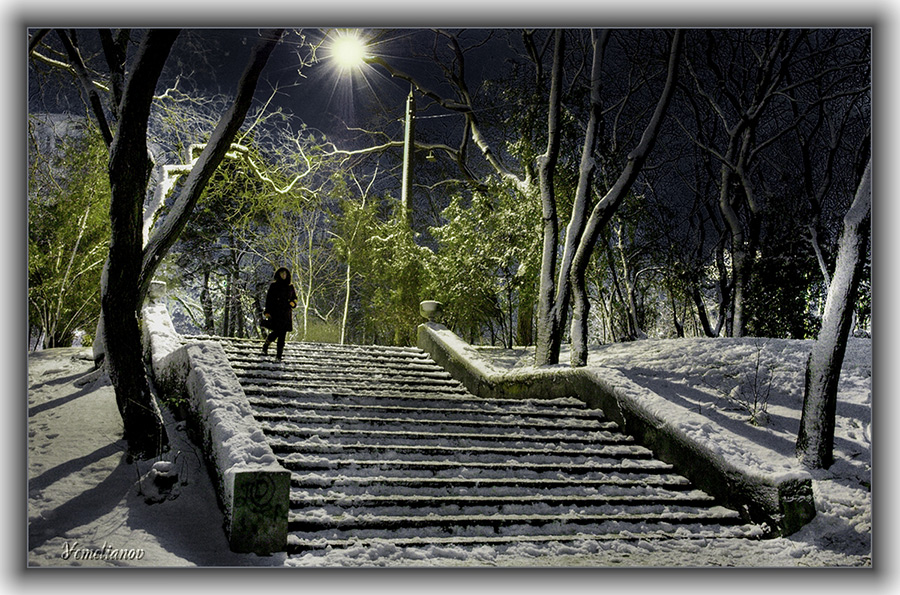 wenn in einem ruhigen Park im Winter.