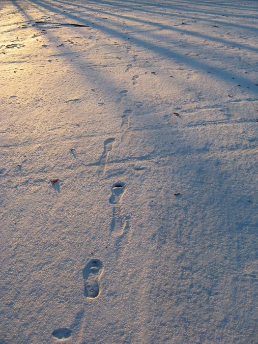so in den Sonnenuntergang gehen