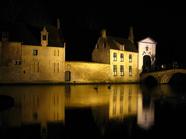 Nacht umwerben Schwäne