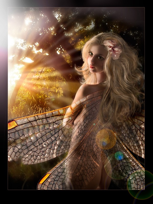 Tale in Farbe oder Zauberwald 2.