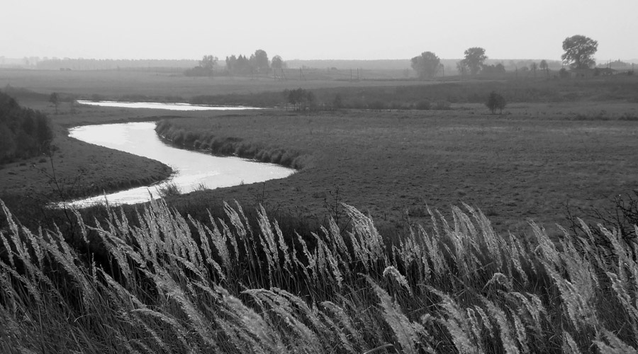 Ruhig trägt seinen Gewässern Woodland River