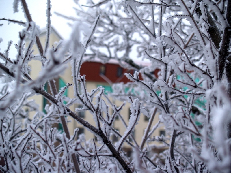 Durch den Winterwald