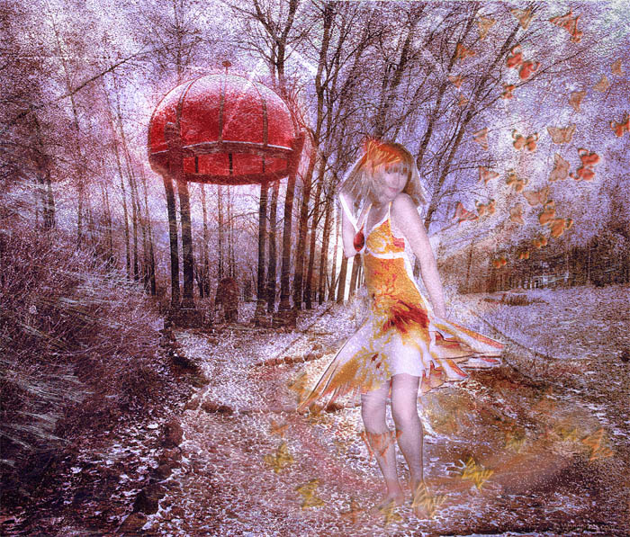 Über Schmetterlinge