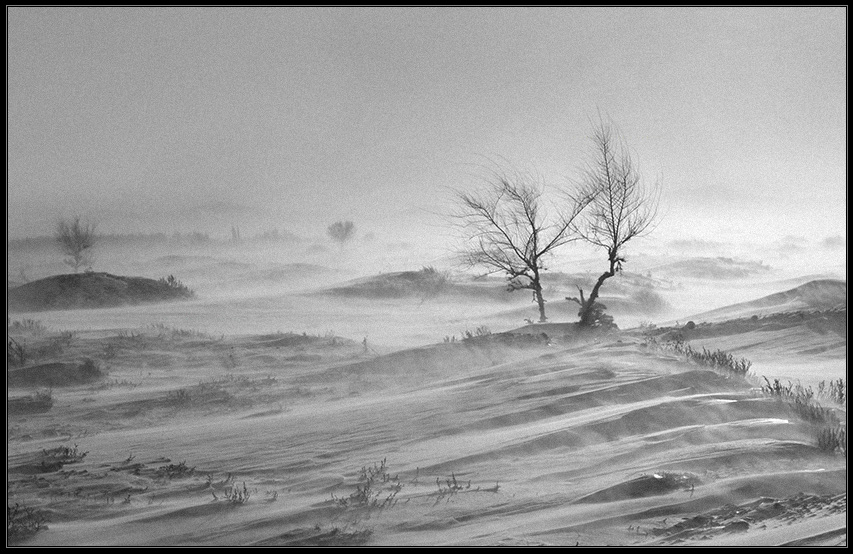 Tragödie in den Stürmen ...