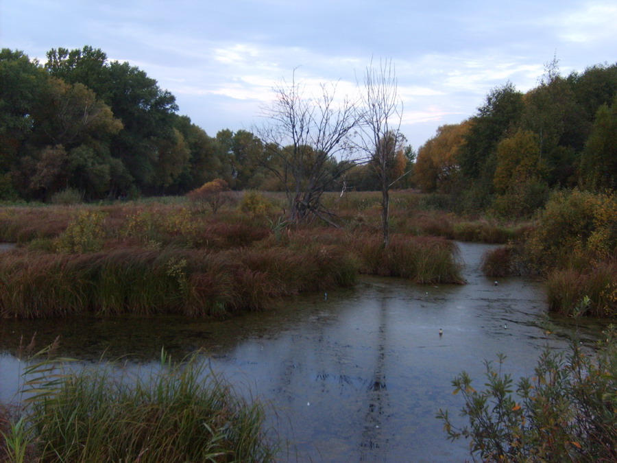 Zwei der Einsamkeit unter den Sümpfen