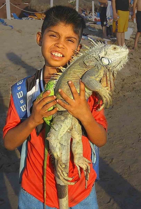Junge mit Leguan