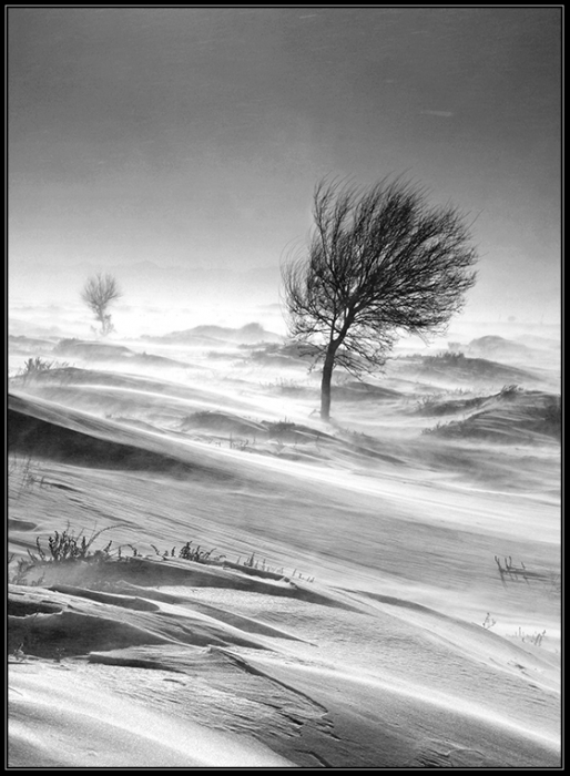 Tragödie in den Stürmen ... Episode # 2