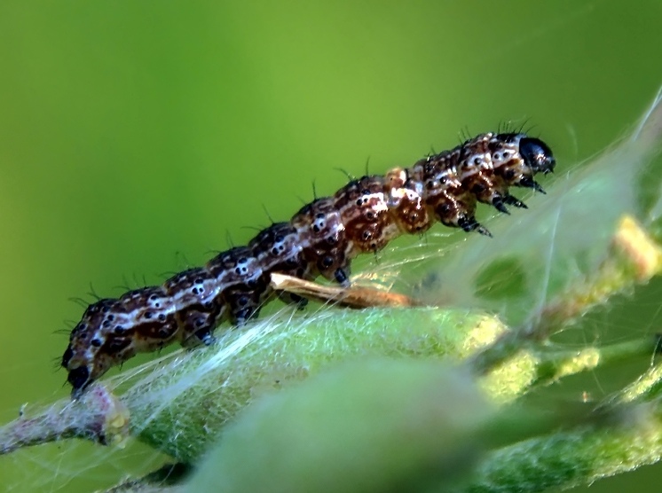 Vorbereitung für den Winter