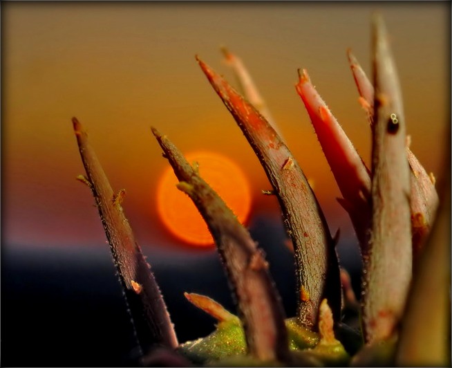 .. Ich asvyatlyats uns Budza Way Zorka naymennem Zyamlya