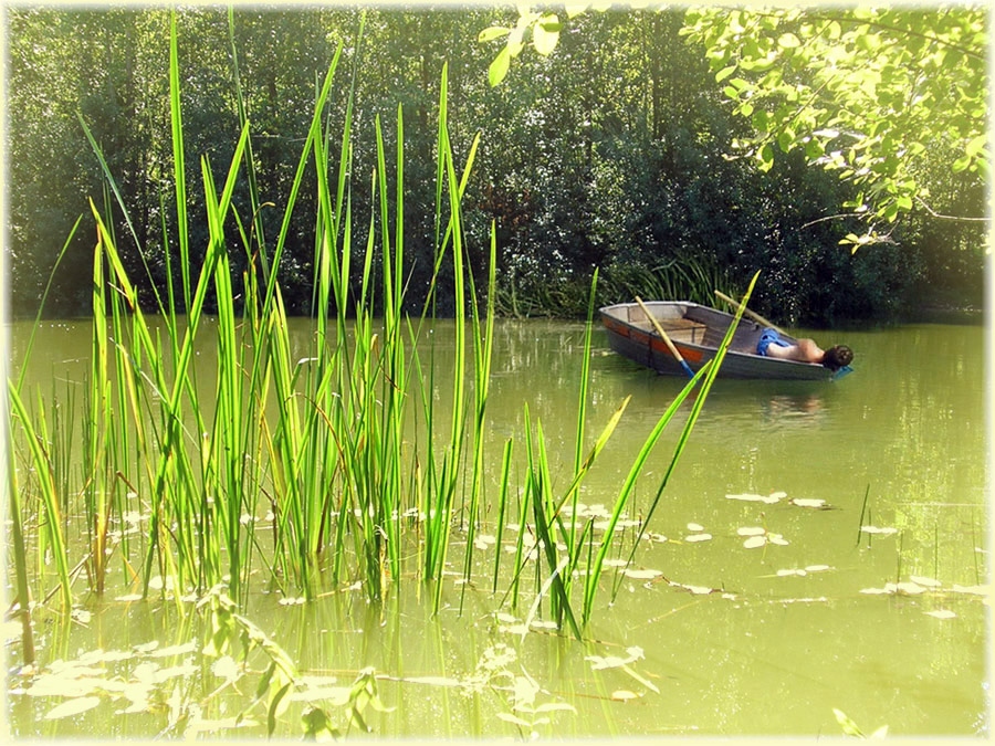 Schwebte Sommer trug seine Kindheit ...