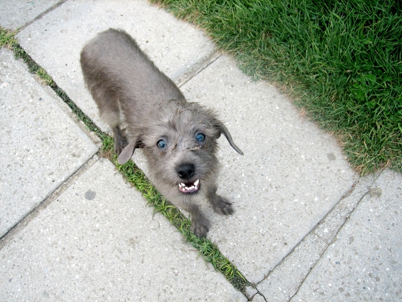 "Laßt uns Freunde sein"