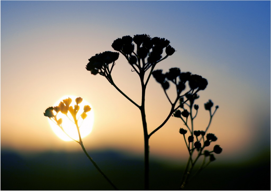 Warten auf die Wärme