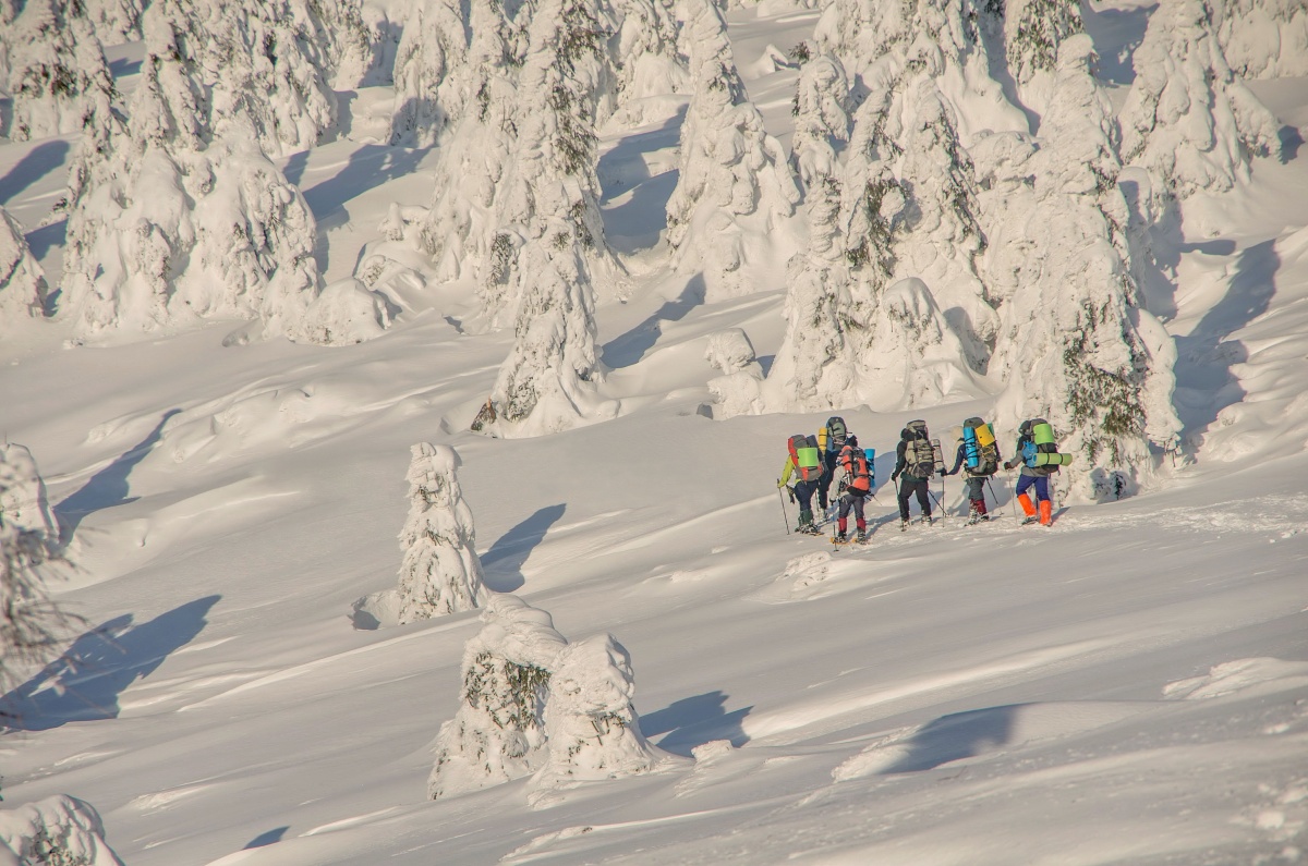 Verloren im Schnee ...