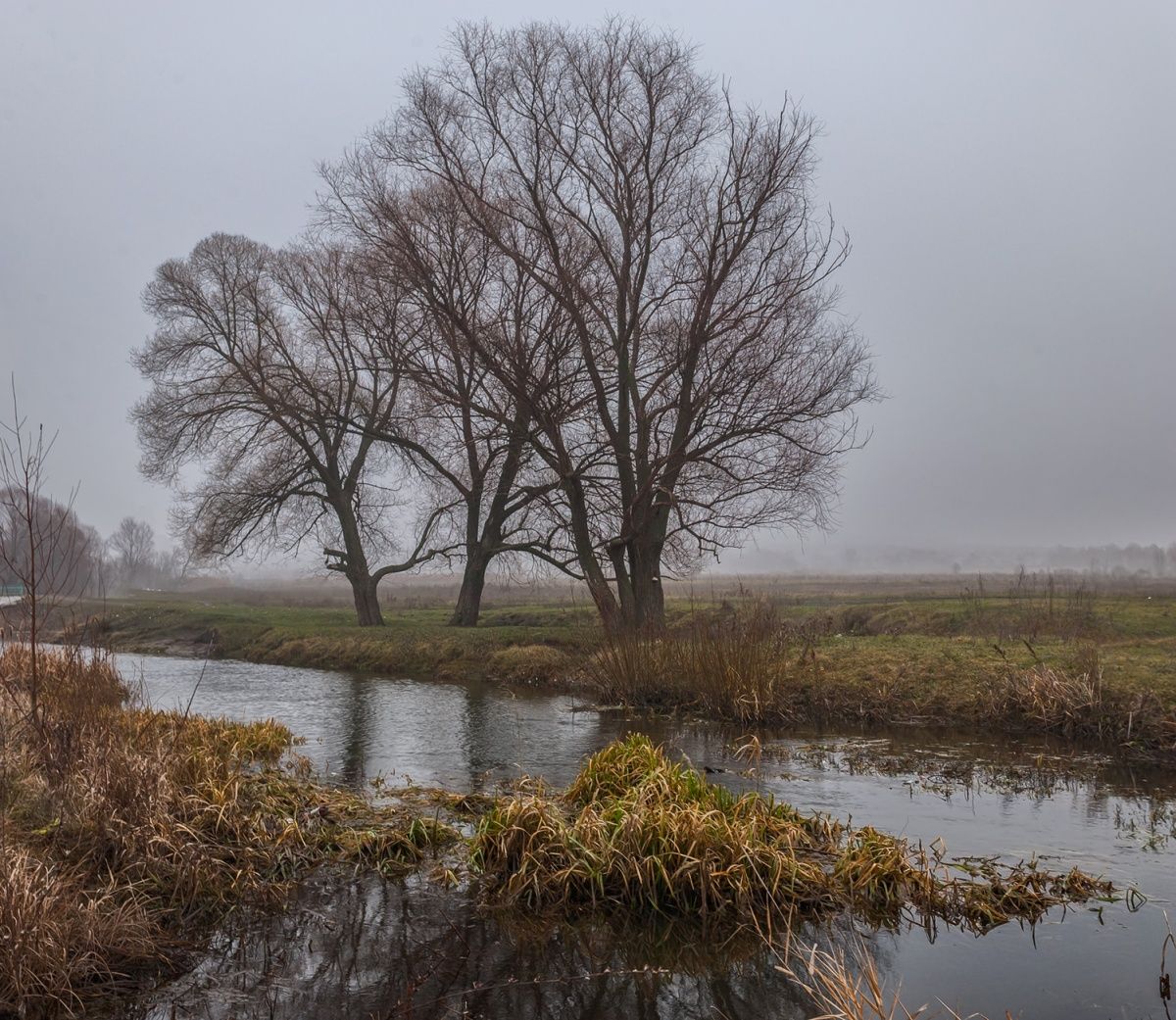 Aus der Serie "High Nebel ..."