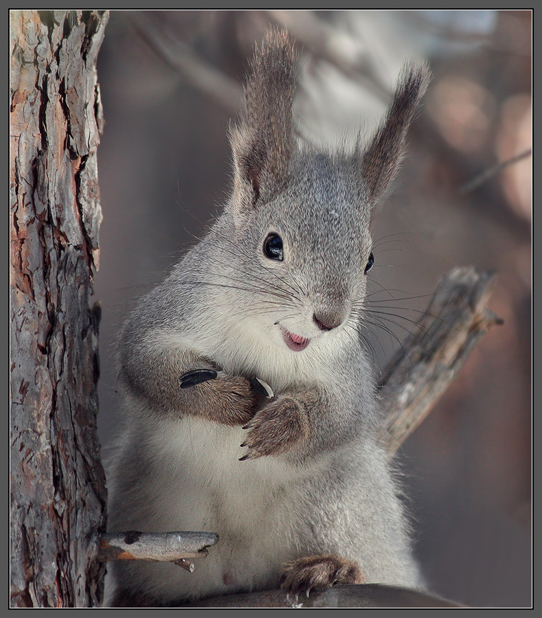 "Das Lächeln wird jeder zu wärmen"