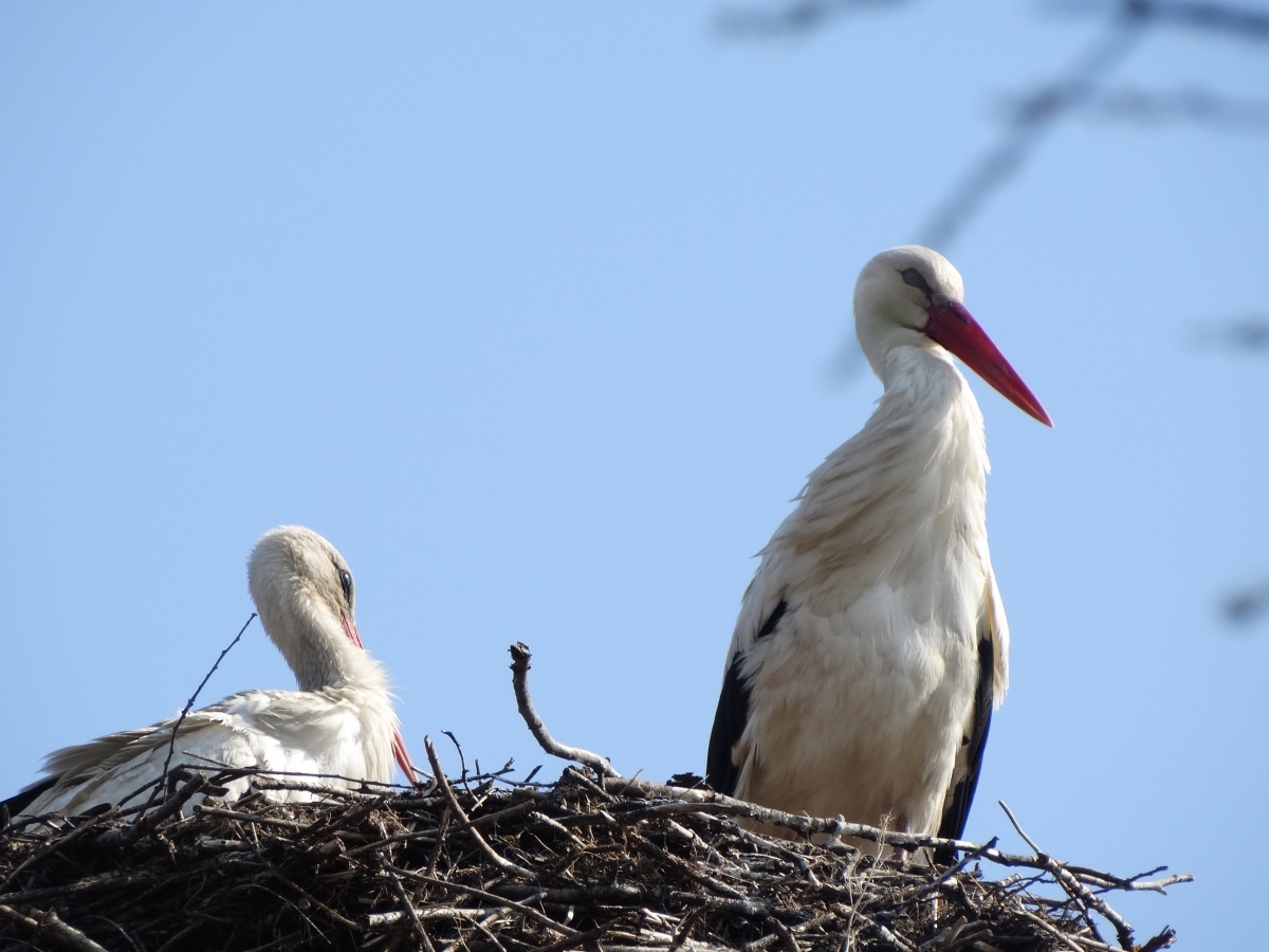 Wir sind wieder zusammen!