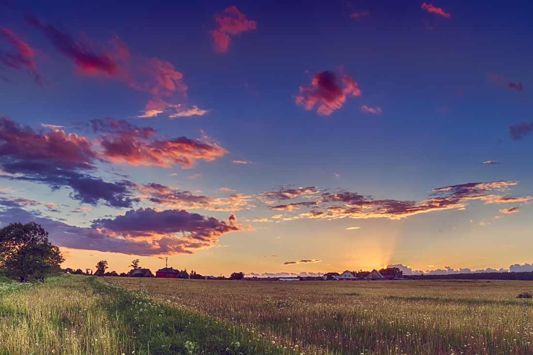 Der Sommer ist eine kleine Leben