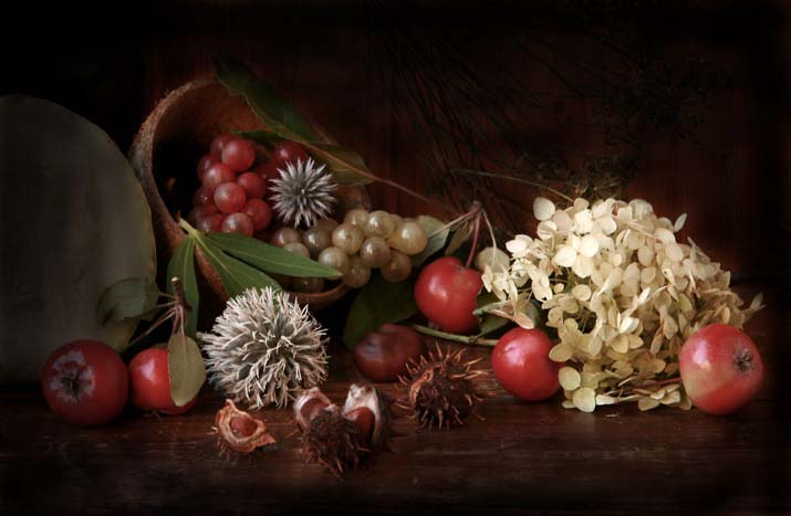 Die Früchte des Herbstes