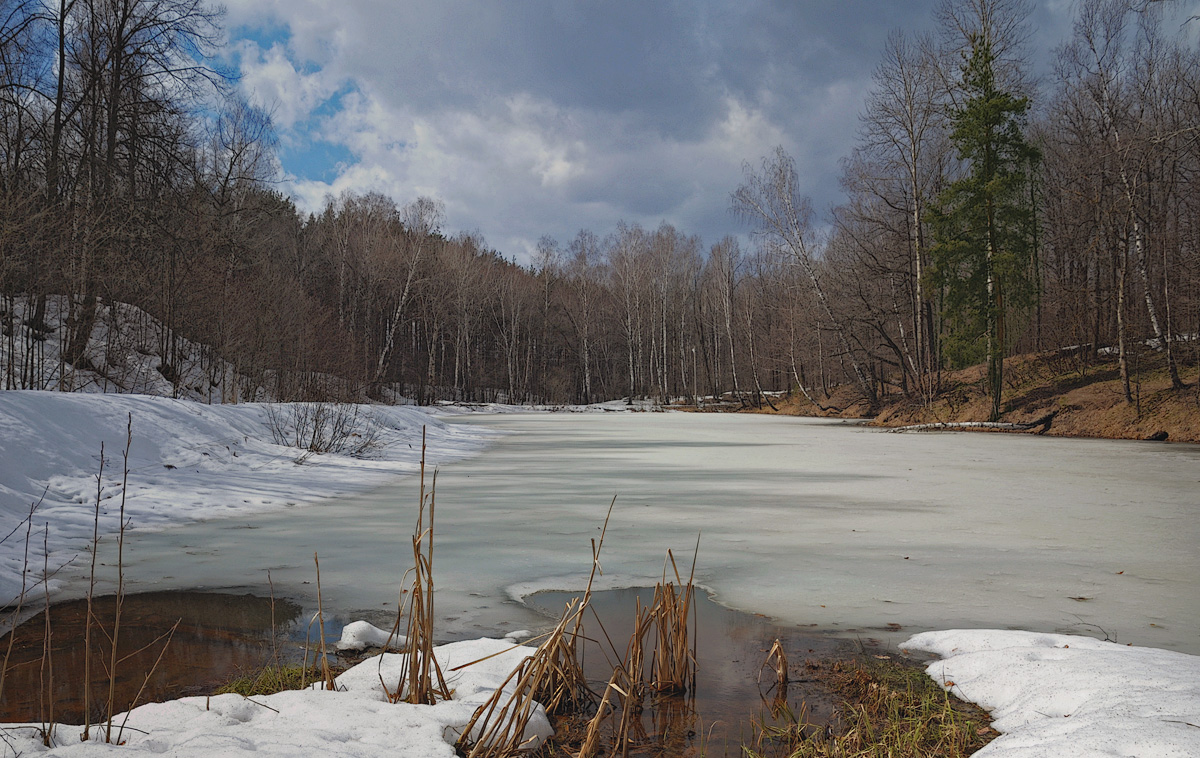 Der Frühling kommt ...