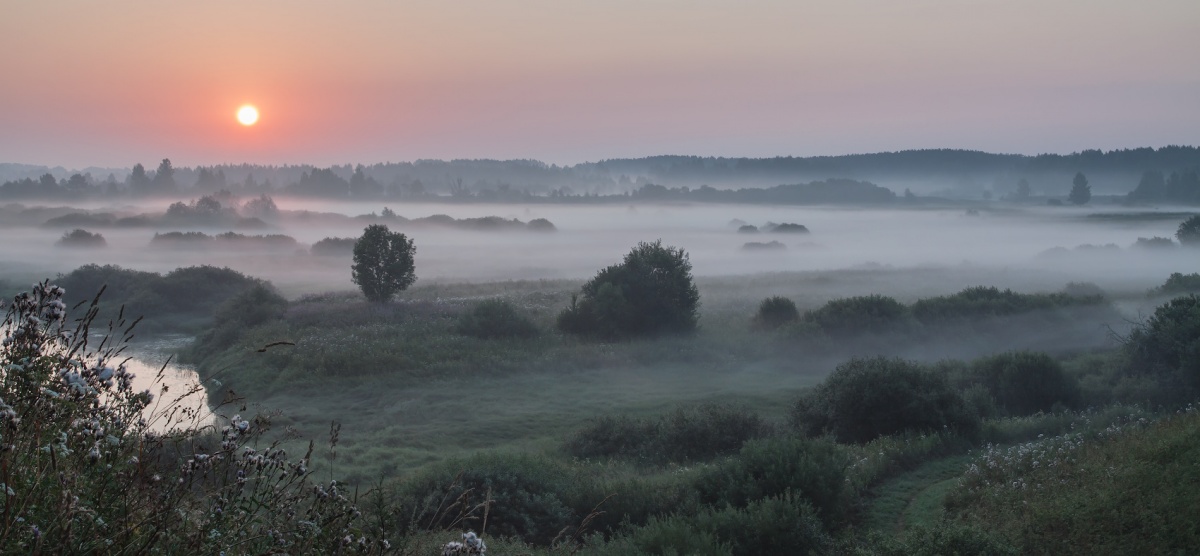 In königlicher Ruhe
