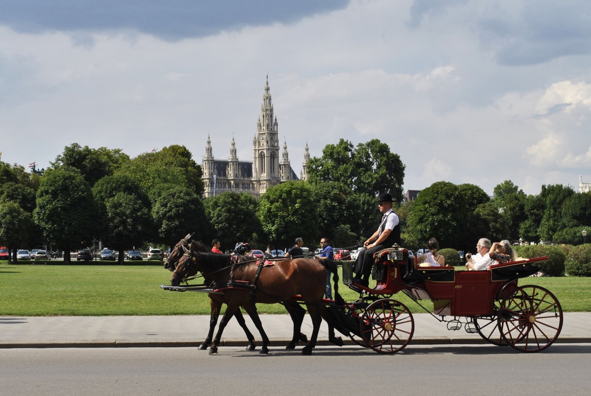 Vienna waits for you