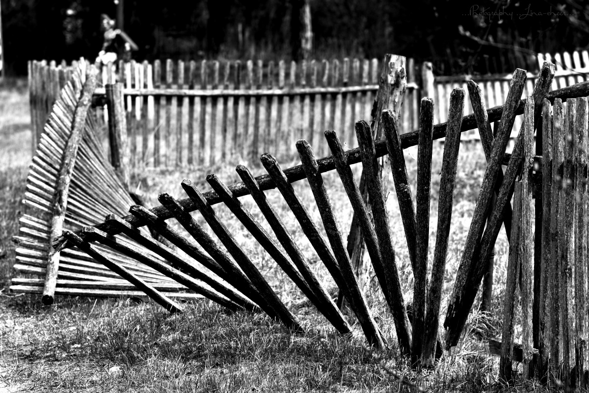 ehemalige Verteidiger