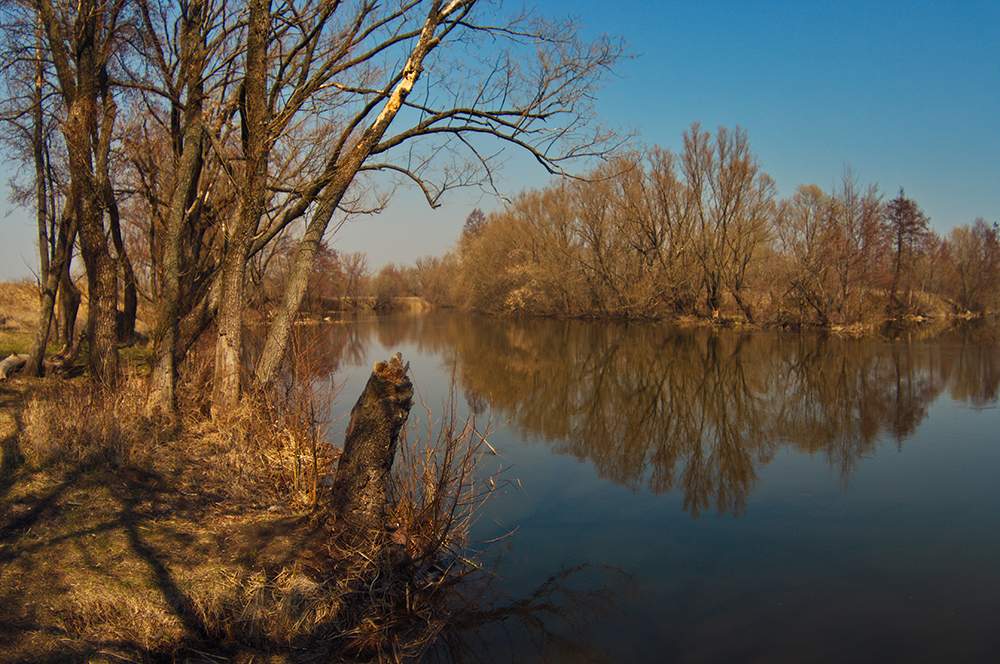 Warten auf den Frühling ...