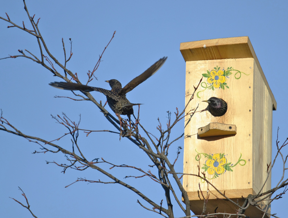 fürsorglichen Familie