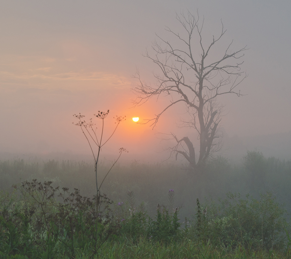 Ich gebe dir einen Stern