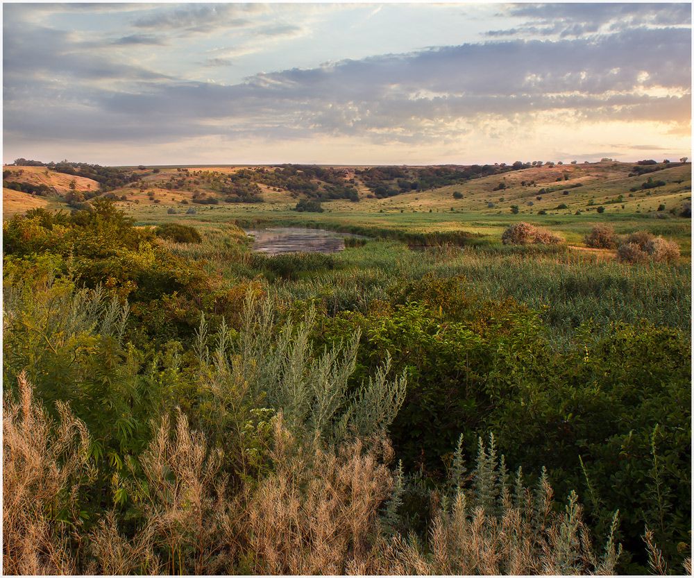 Morgendämmerung am Fluss